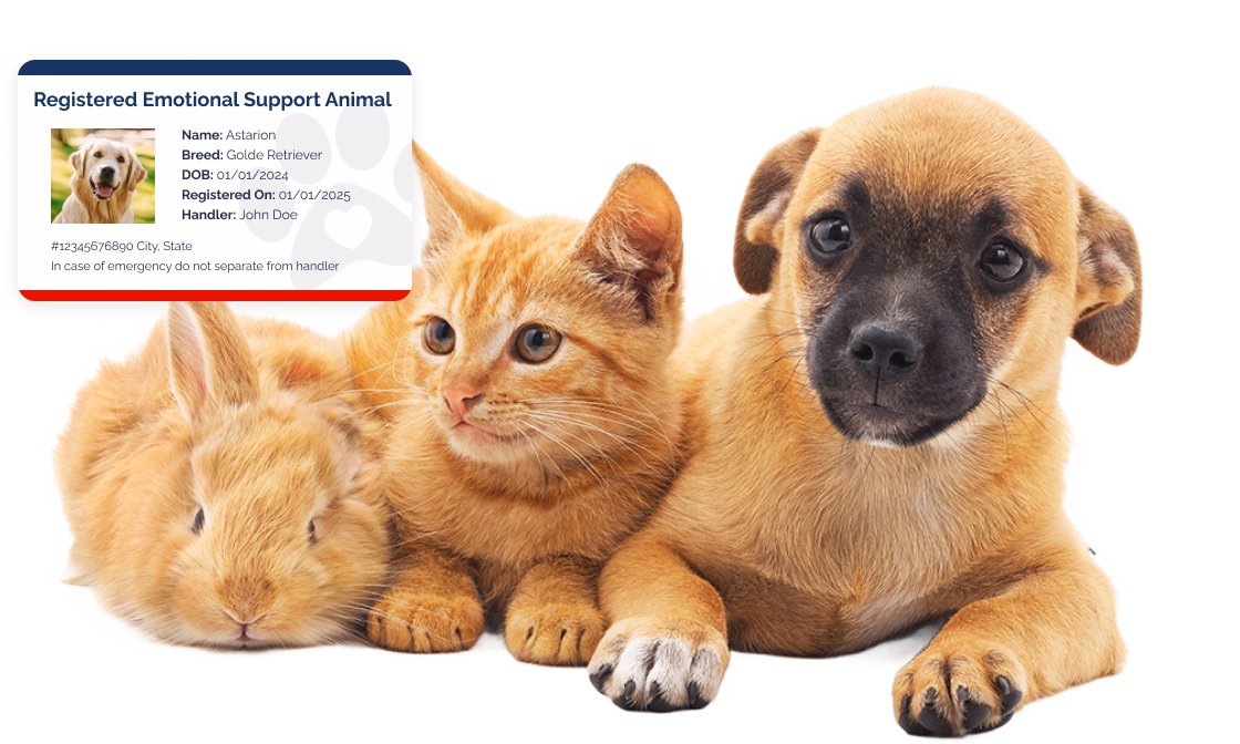 Emotional support animal registration