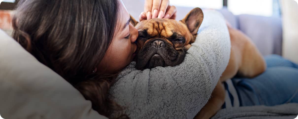 Your Pet Is Protected