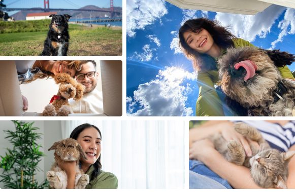 People with their emotional support animals