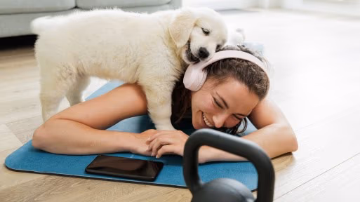 How to Get an Emotional support animal letter.