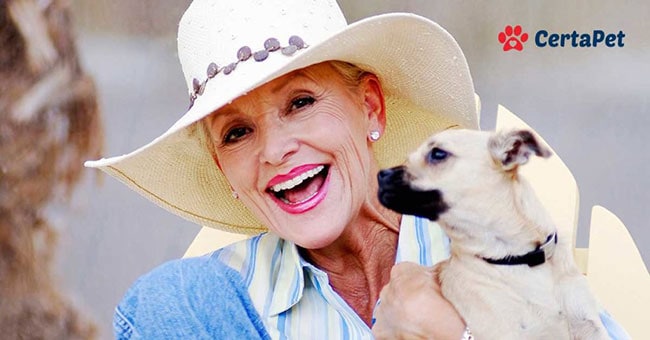2 Ironclad Emotional Support Animal Laws {Must Read} 2 Ironclad Emotional Support Animal Laws {Must Read}