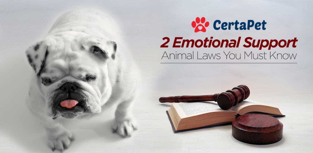 legal emotional support dog registration