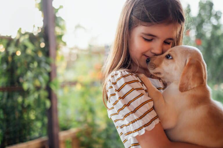 Emotional support animal, emotional support puppy. A little girl holding a Golden Retriever puppy in her arm while smiling