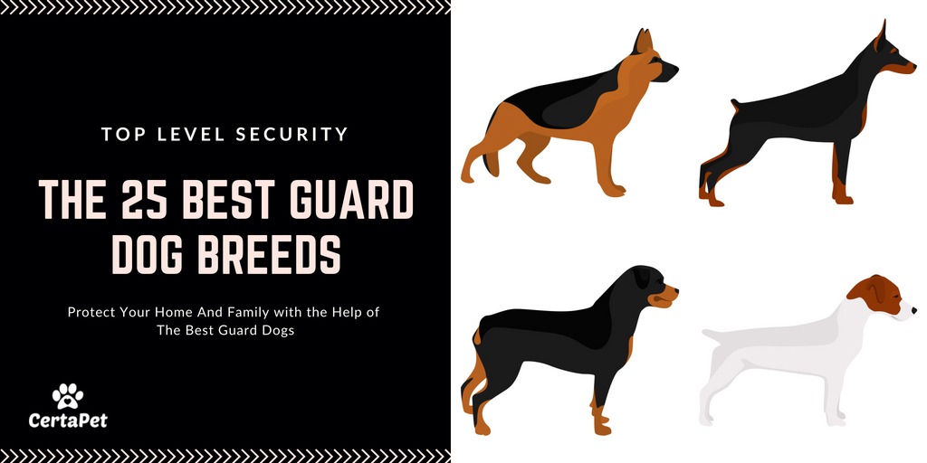 best outdoor guard dogs