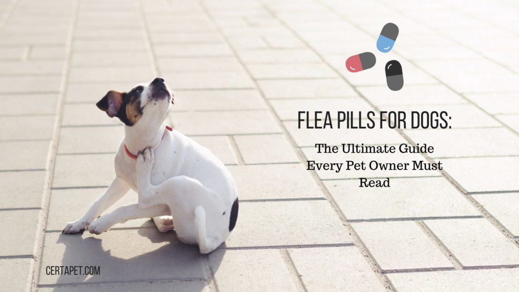 one month flea pill for dogs