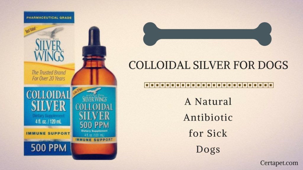 silver colloidal spray for dogs