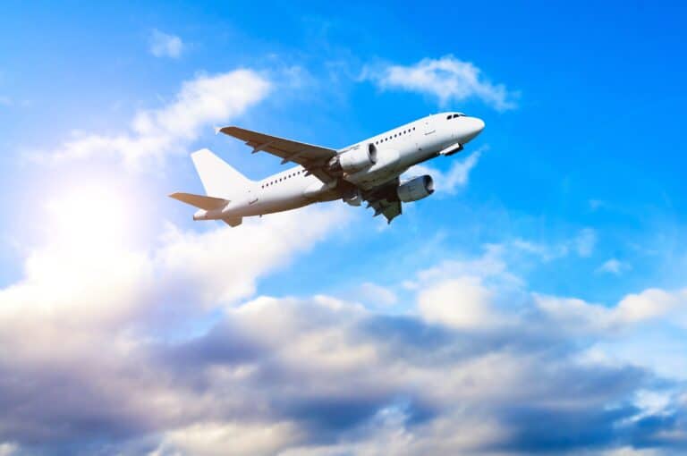 Emotional support animal travel. Airplane in flight, traveling across a blue sky