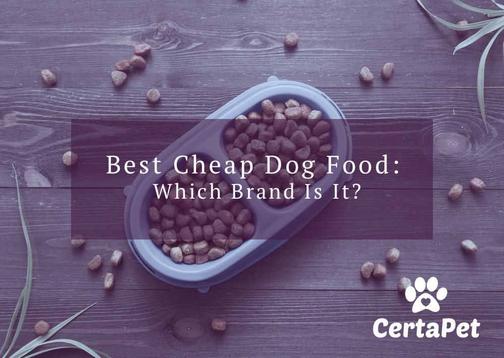 best reasonably priced dog food