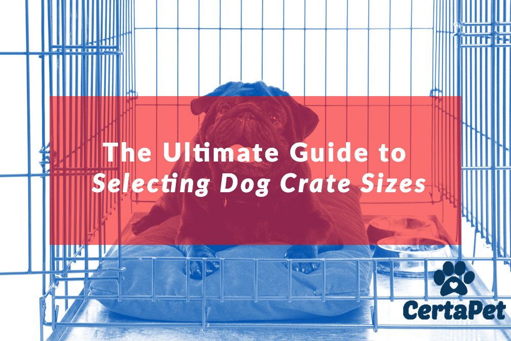 metal dog cage sizes