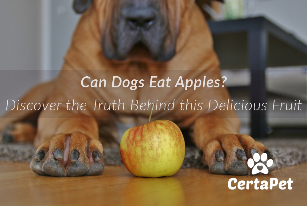 apples bad for dogs