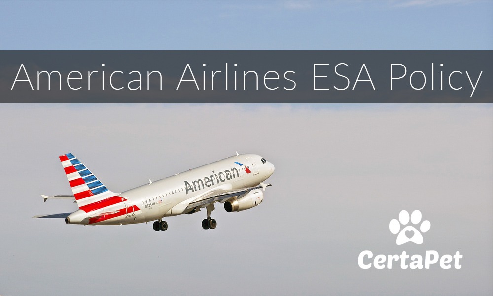American Airlines Pet Policy | CertaPet®