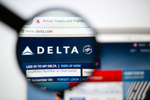 delta airlines pet carrier requirements