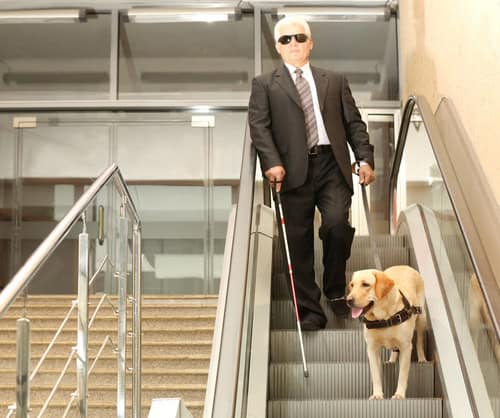 frontier airlines pets as carry on