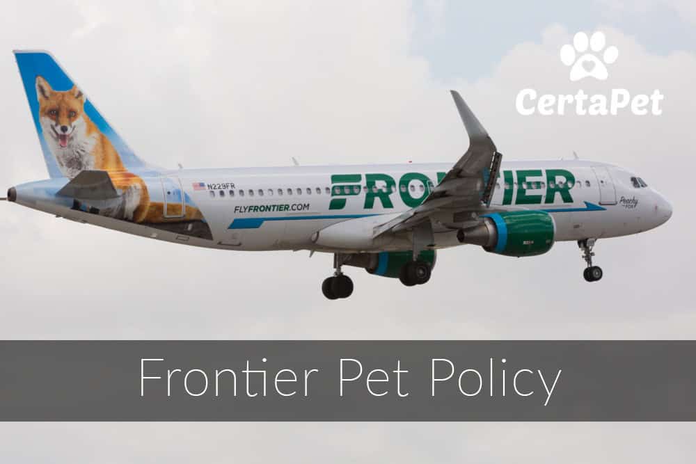 frontier airlines pets as carry on