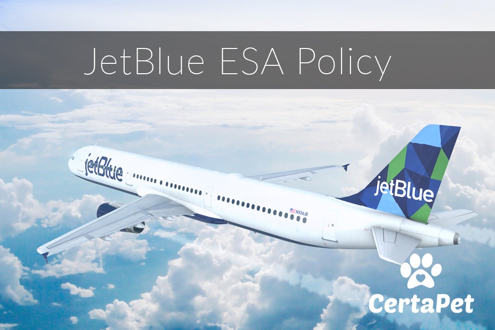 JetBlue Pet Policy: Flying with your Emotional Support Animal or Service  Animal | CertaPet®