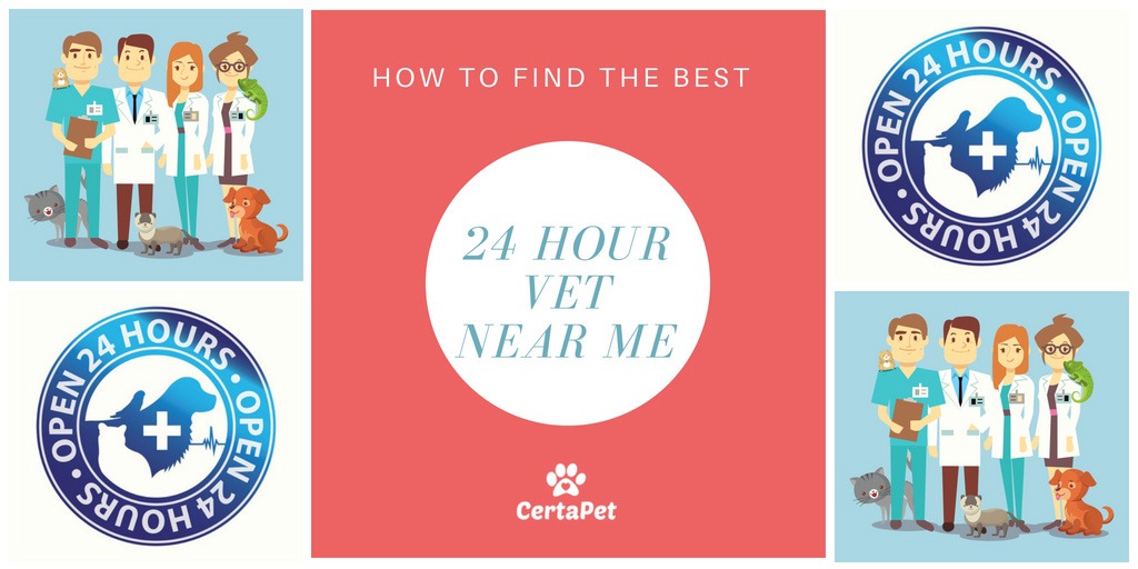 is there a 24 hour vet near me