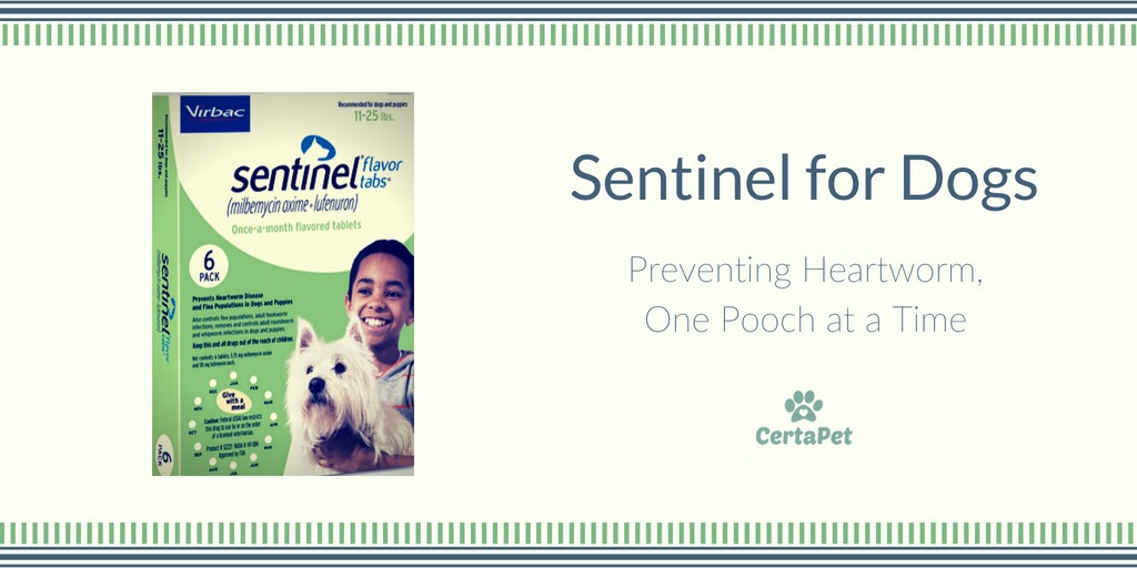 sentinel-for-dogs-preventing-heartworm-one-pooch-at-a-time-certapet