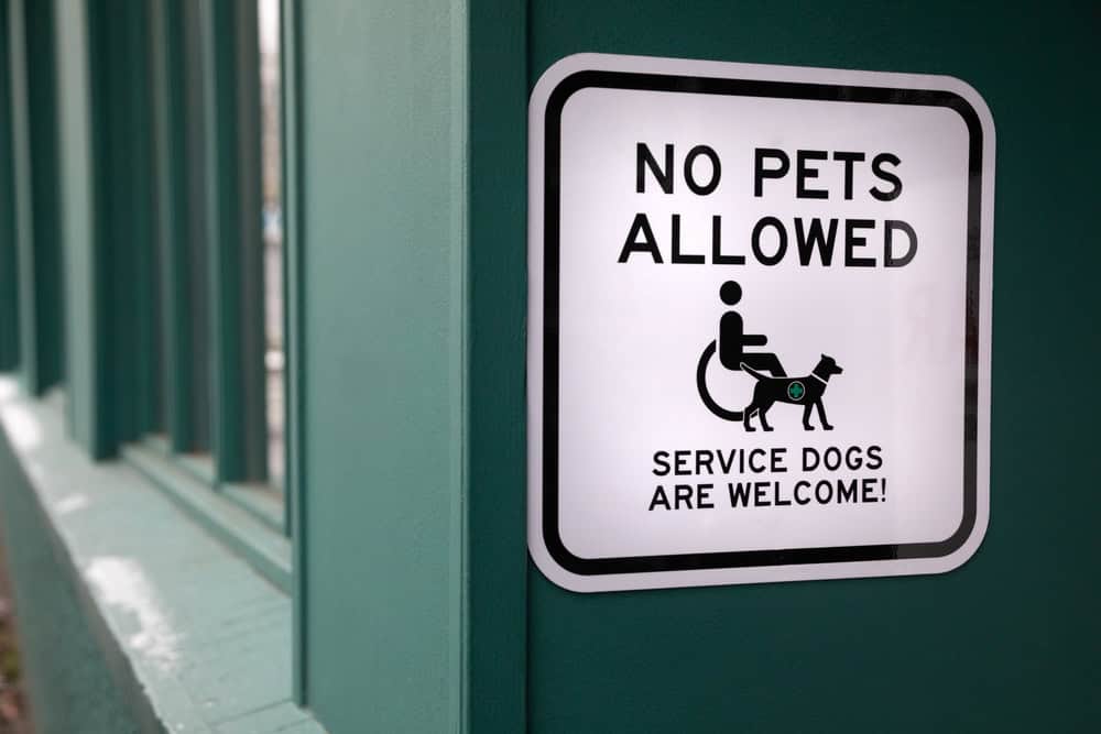 psychiatric service dog rights