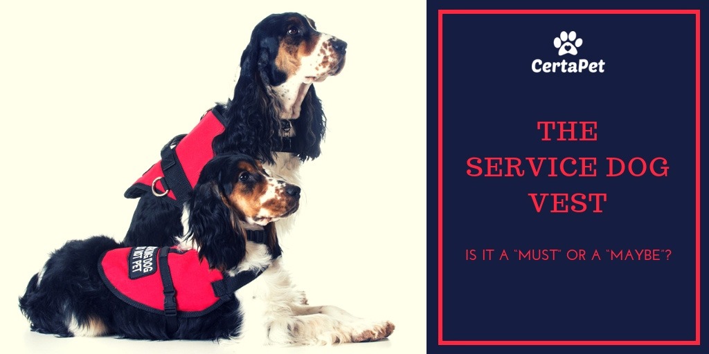 Service Dog Vest: Why Your Service Dog Should Have One | CertaPet®