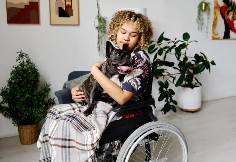 A young girl on a wheelchair with a blanket and a small sized dog sitting on her lap