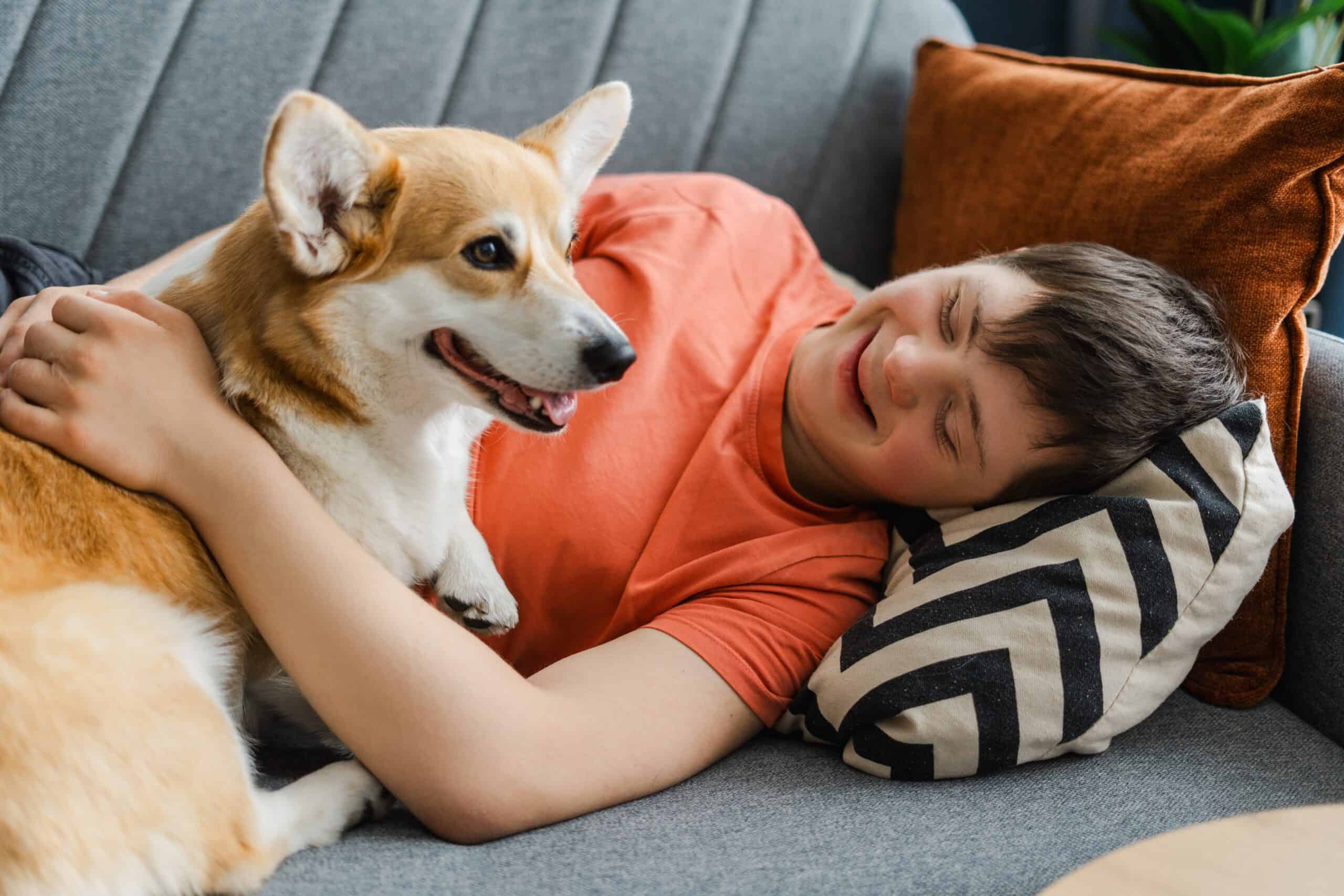 A young boy lying on the couch with his Corgi dog