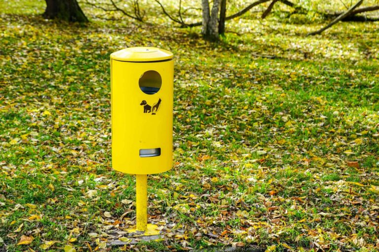 Airport Pet Relief Areas