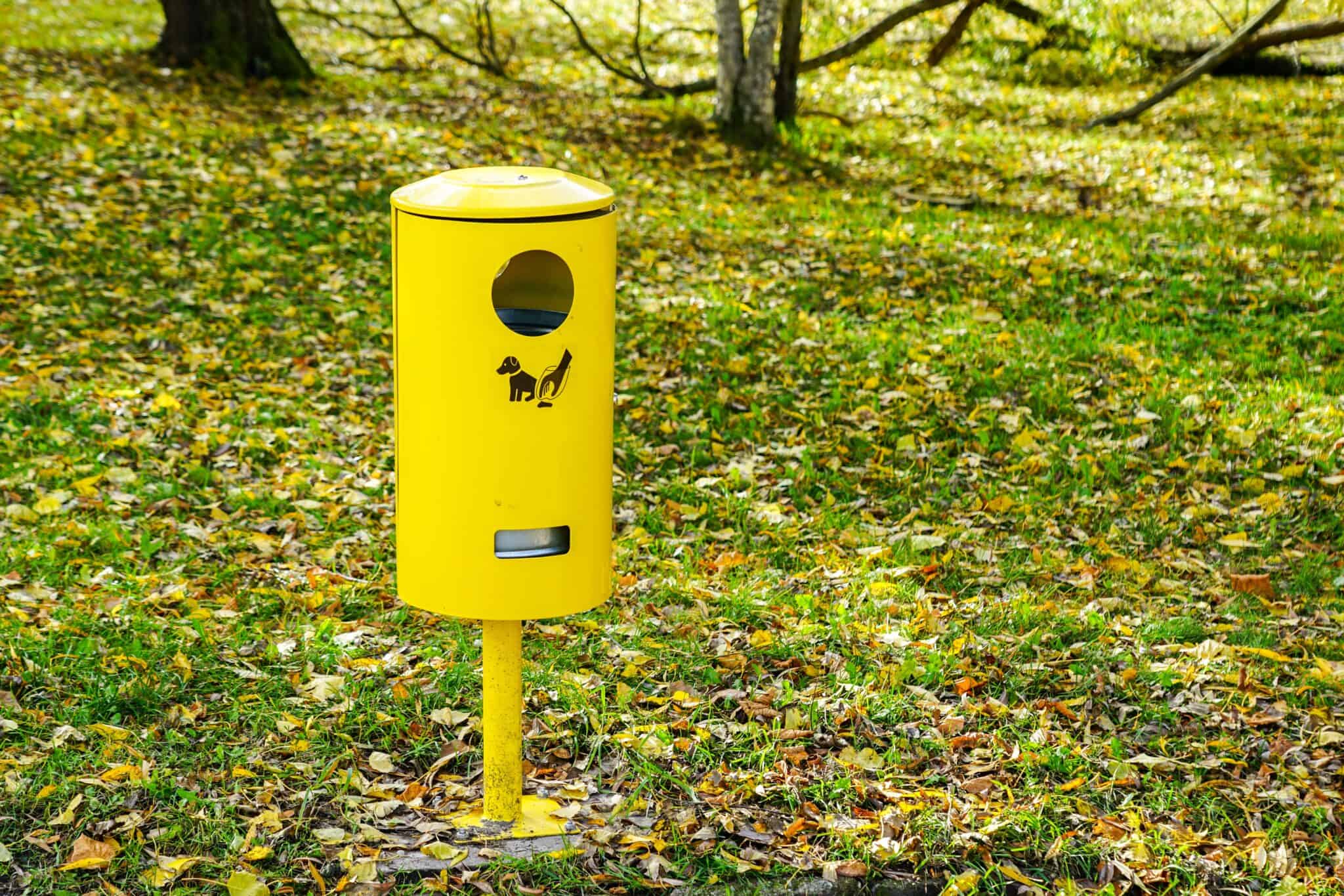 Airport Pet Relief Areas