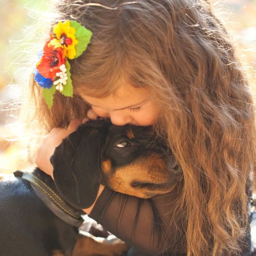 Best small dogs online for autism