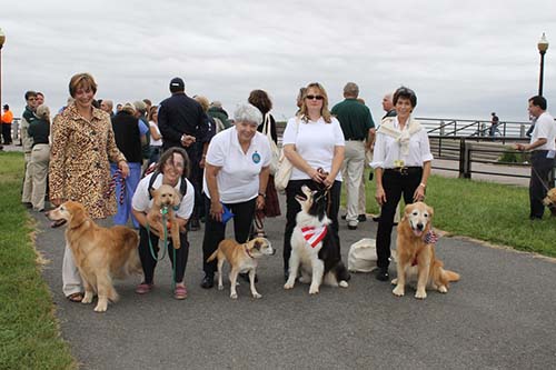 therapy dogs international about