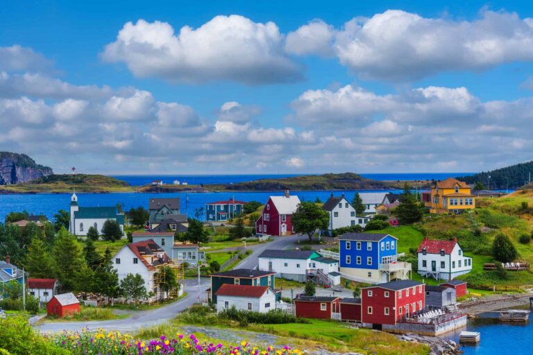 Emotional Support Animal in Newfoundland and Labrador, Canada