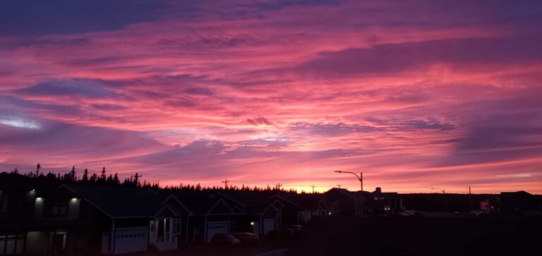 Emotional Support Animal in Mount Pearl, Newfoundland and Labrador