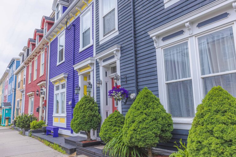 Emotional Support Animal in St. John's, Newfoundland and Labrador