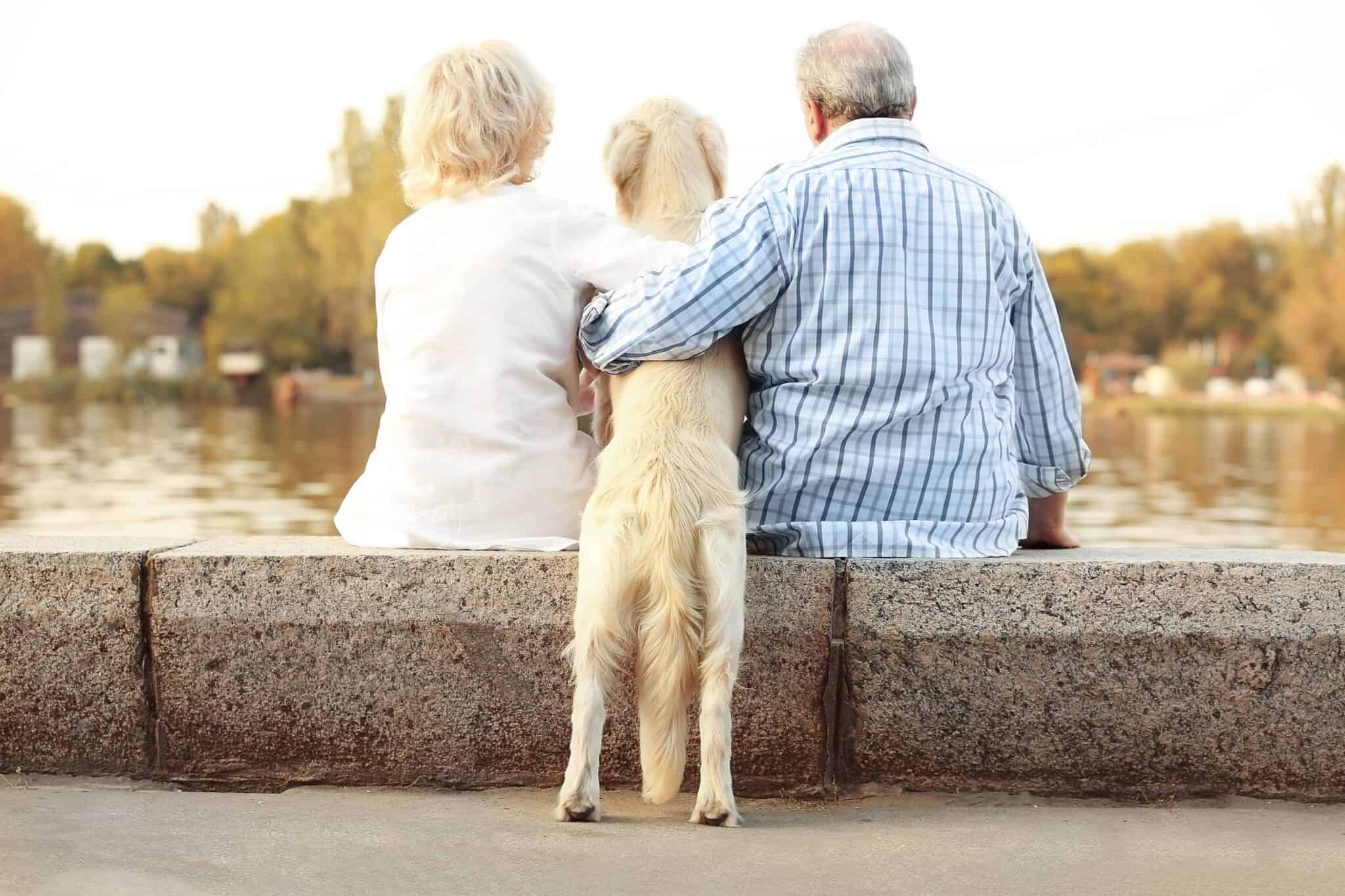 image with people and dogs comparing human years to dog years