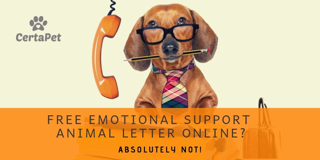 Is a Free Emotional Support Animal Letter Online Real? | CertaPet®