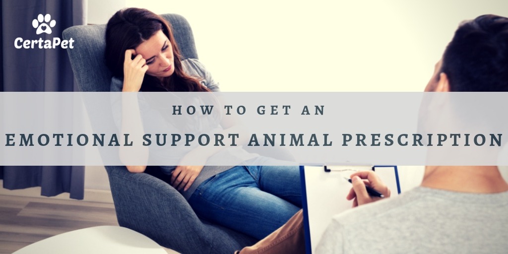 How to Get an Emotional Support Animal Prescription | CertaPet®