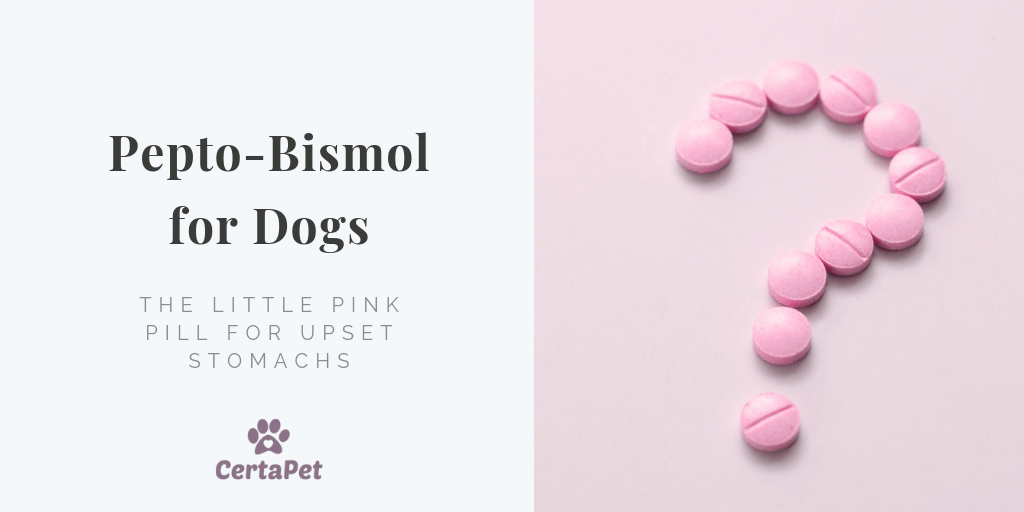 how much pepto bismol pills for dogs