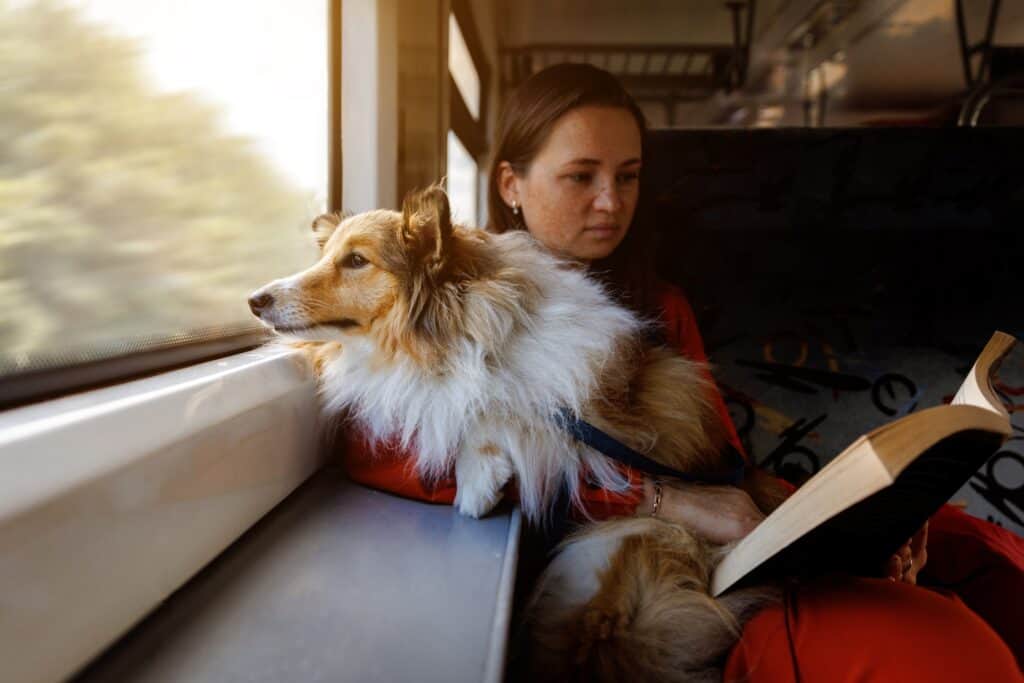 what is amtrak pet policy 1 - certapet - emotional support animal letters girl travels with a dog in a train and reads a book