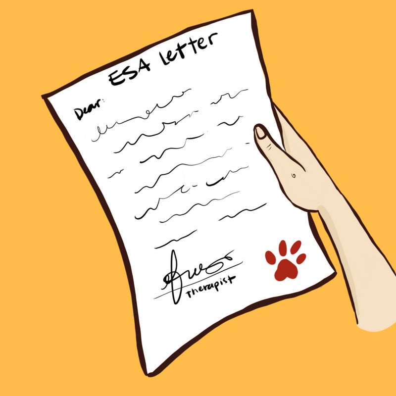 How to Ask Doctor for Emotional Support Animal Letter | CertaPet®