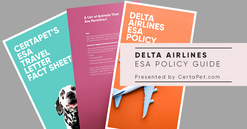 Delta Airlines ESA Policy Guide [Free 