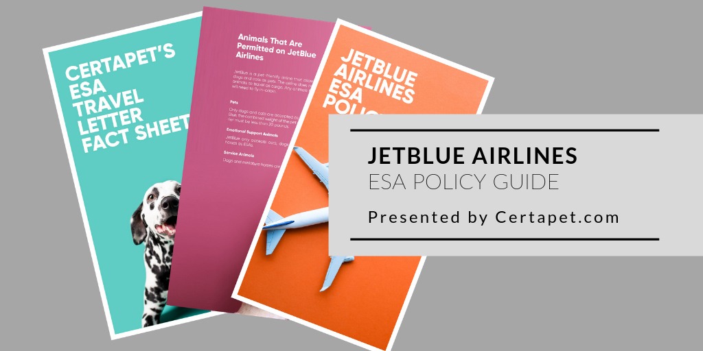 JetBlue Airlines ESA Policy Guide [Free Guide] | CertaPet®
