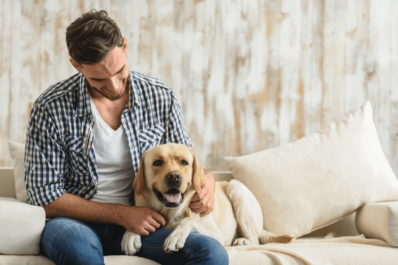Canadian emotional support best sale animal