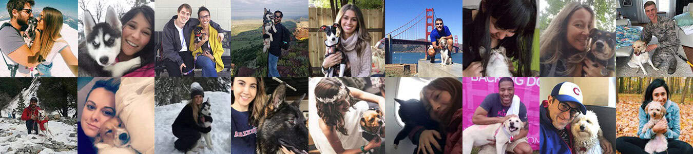 people-from-certapet CertaPet clients collage image