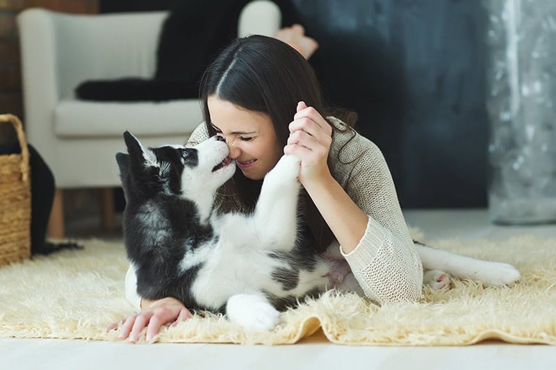woman-lying-on-the-carpet-playing-with-her-dog Woman lying on the carpet playing with her ESA dog