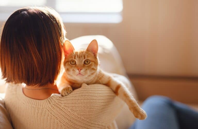 Woman sitting on sofa holding cat