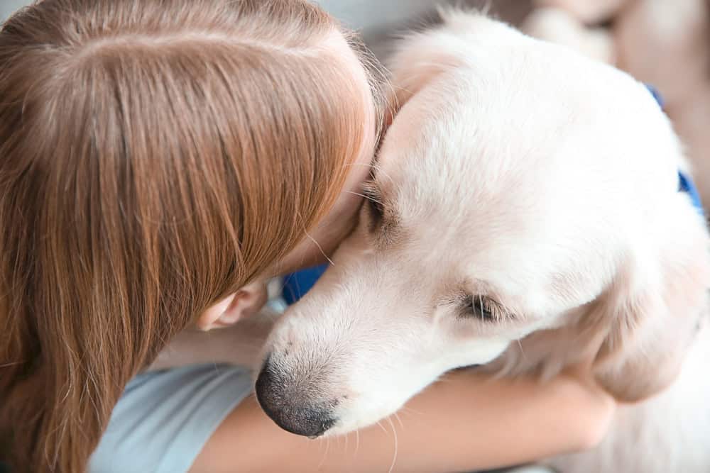 service dog helping with depression