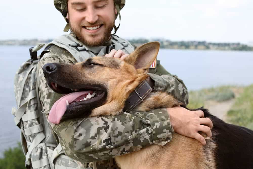 Florida psychiatric service dog