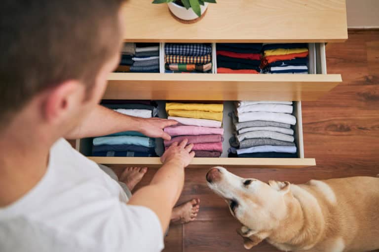 Dog observing man as he fixes a drawer.