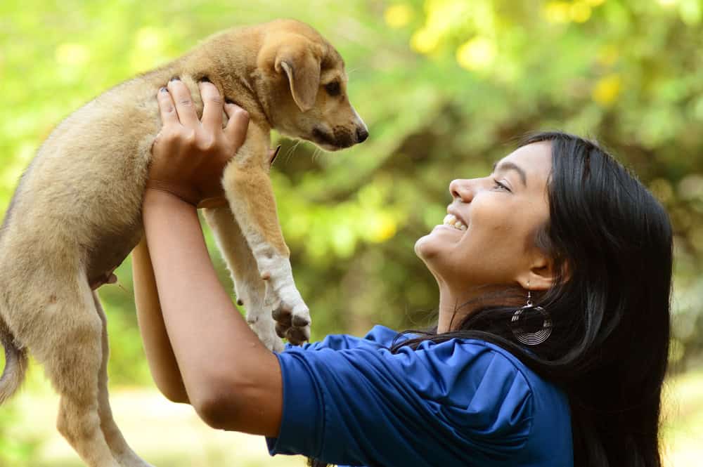 service training for dogs in NYC