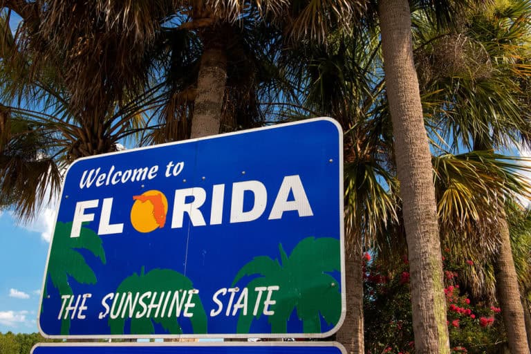 Welcome to Florida roadside signage with palm trees.