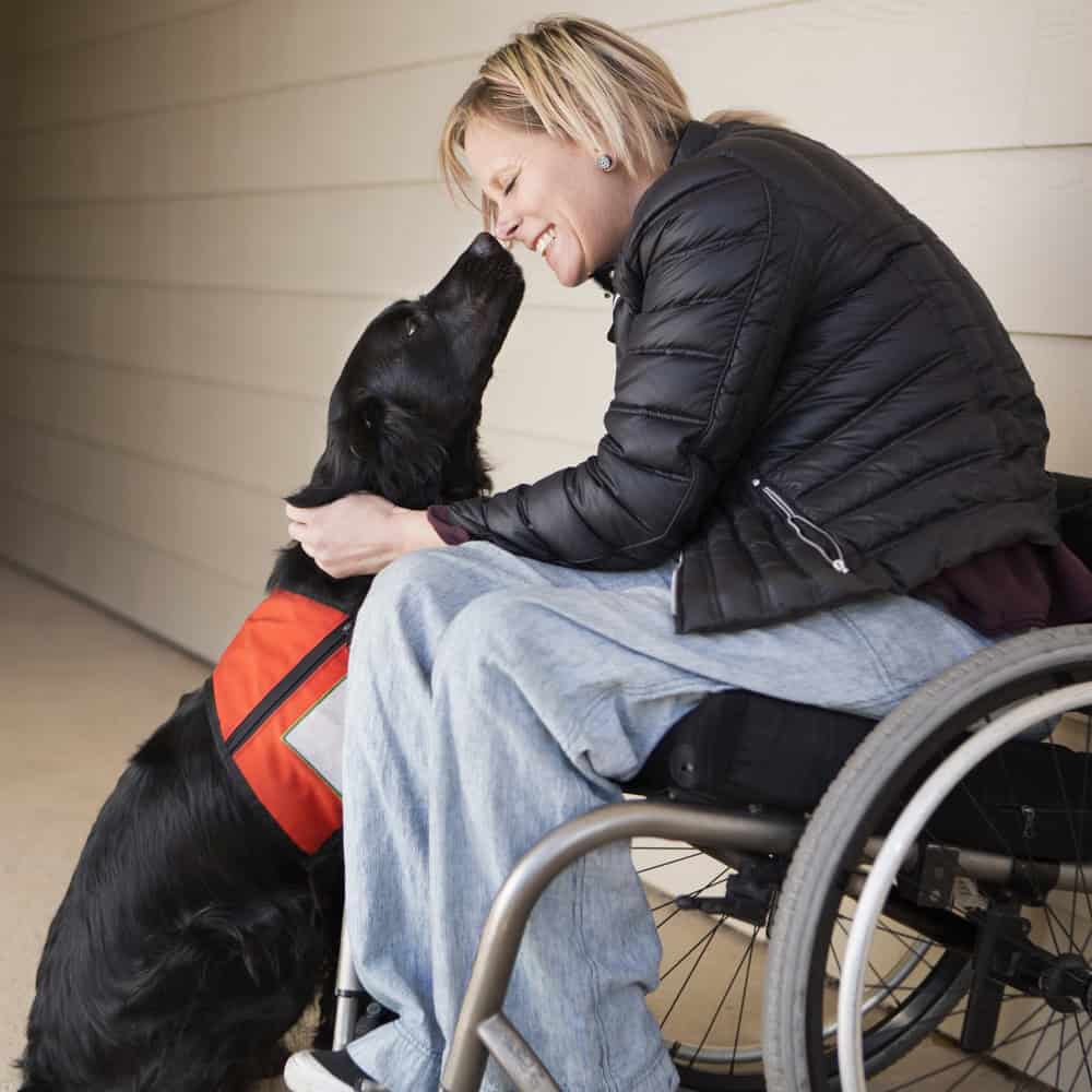 service dog trained for depression